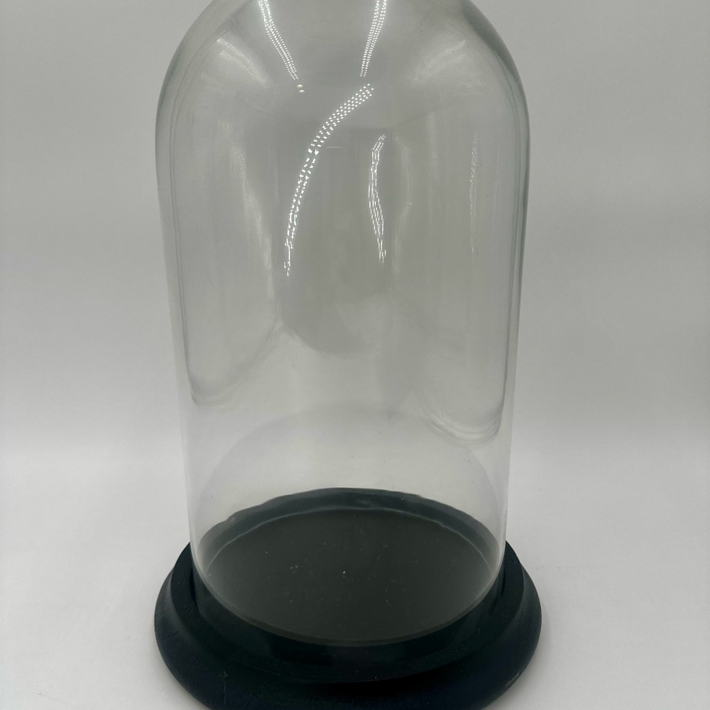 Pottery Barn Glass Cloche with Black Base